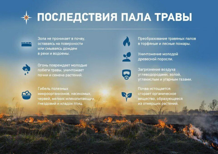 Лесной пожар.